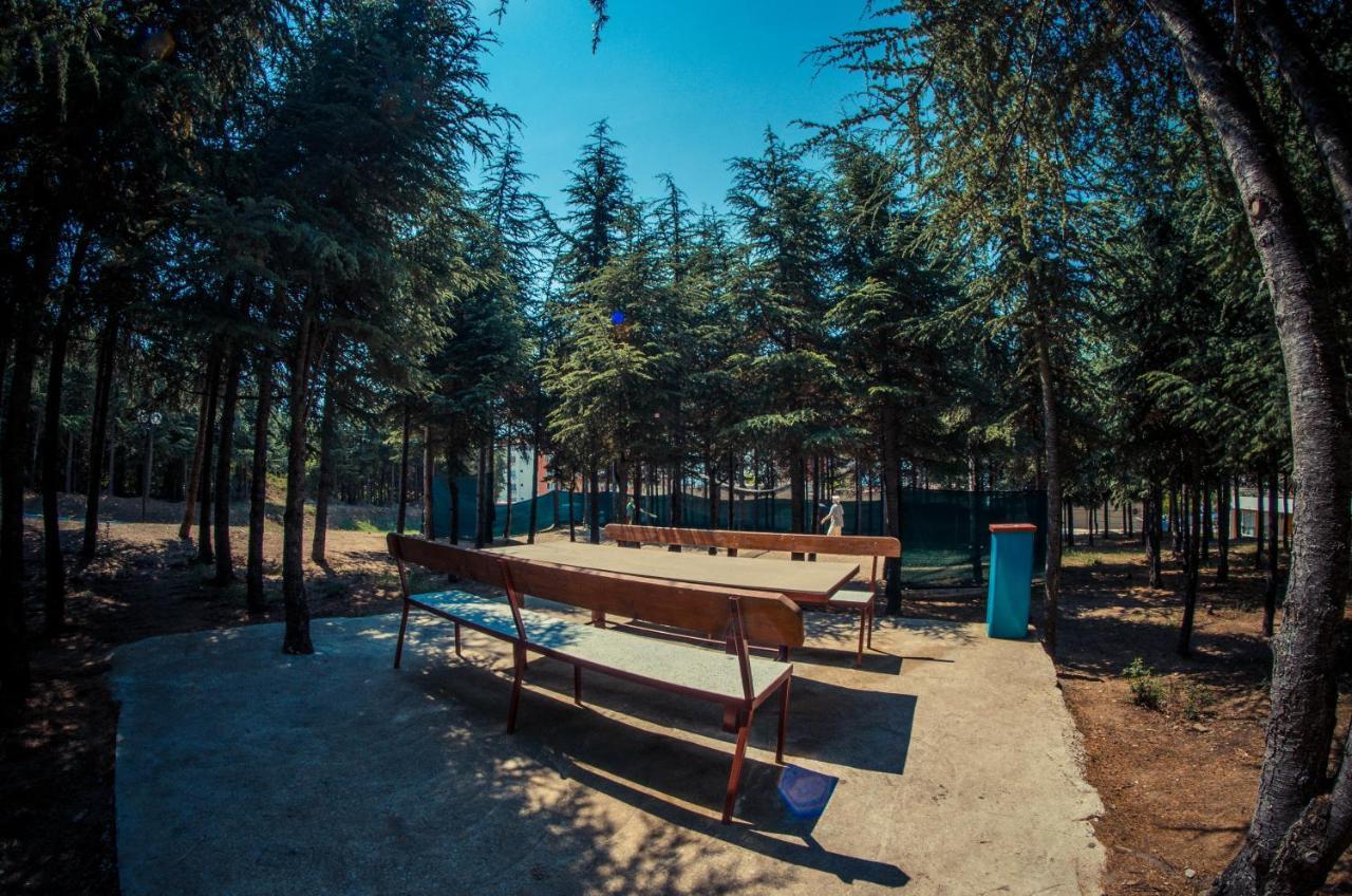 Visit Sunny Beach Sea Apartments Елените Екстериор снимка